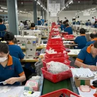 Stitching Line